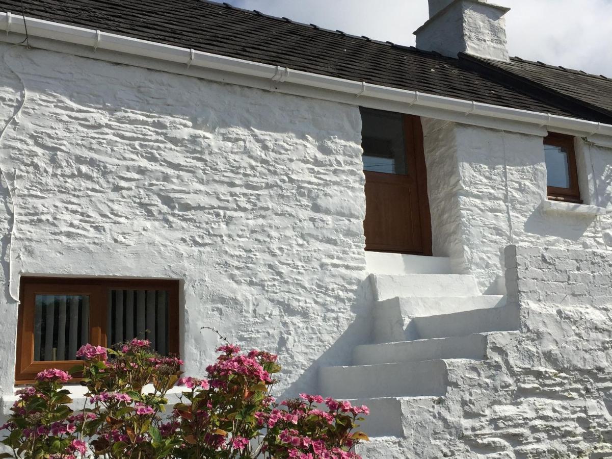 Little Barn Cottage Newport  Exterior foto